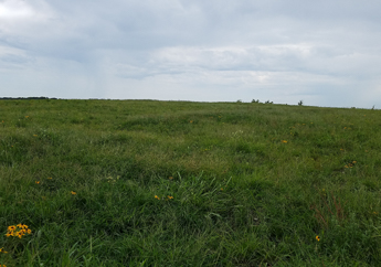 Prairie land restoration project located in the Missouri portion of the Tri-State Mining District, which covers southwest Missouri, southeast Kansas and northeast Oklahoma
