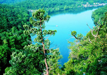 A lake surrounded by trees