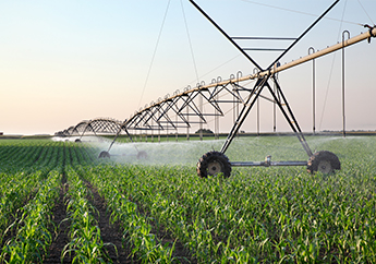 A pivot sprays water on farm cropland plants.