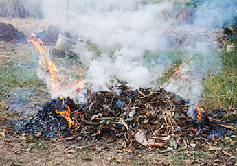 Tips about open burning in MIssouri