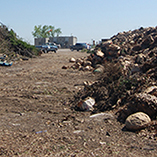 Rows of composting materials waiting to be composted.