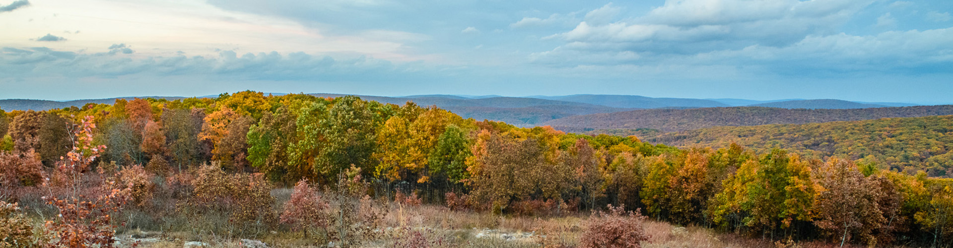 Trees with yellow and orange leaves dot the horizon of the Ozark mountains.