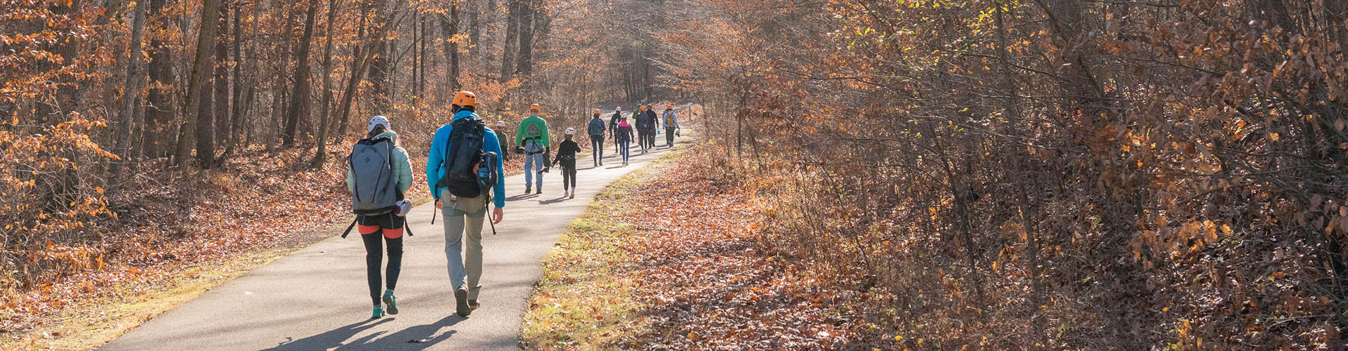 A group of people walking along a path surrounded by trees that have almost lost all their fall leaves