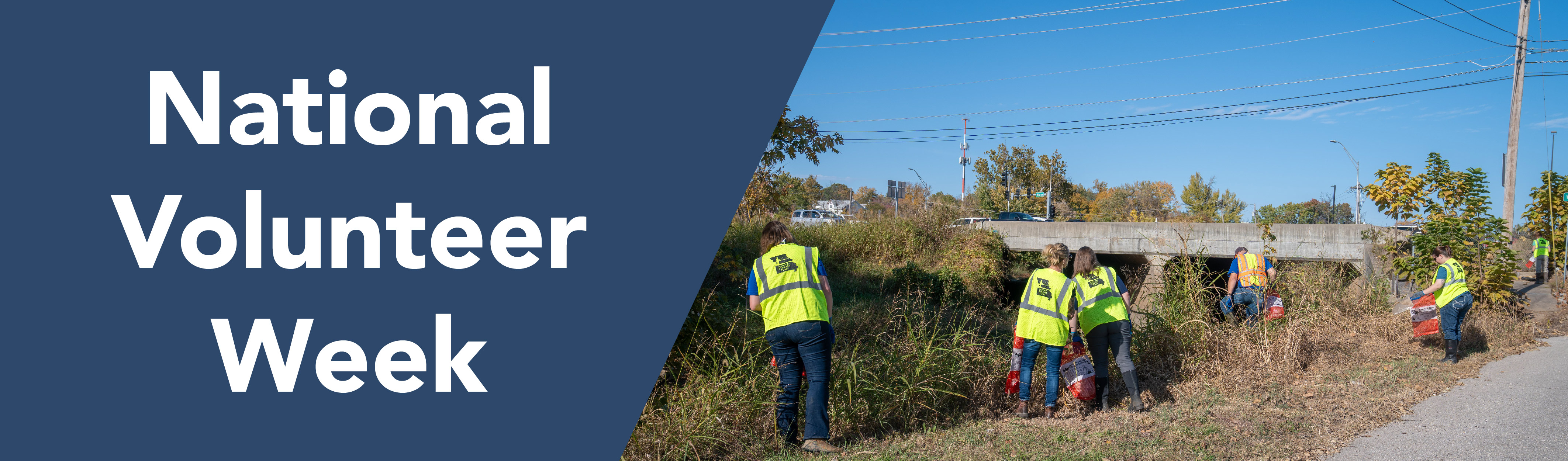 Stream team volunteers picking up trash along a streambank and nearby roadside