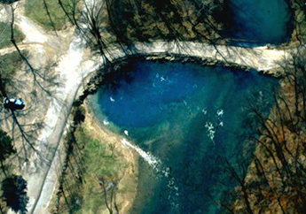 Springs