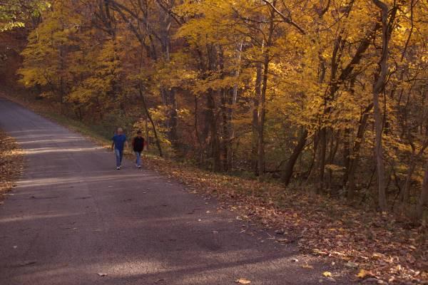 Two people hike along a trail where leaves have fallen near their path