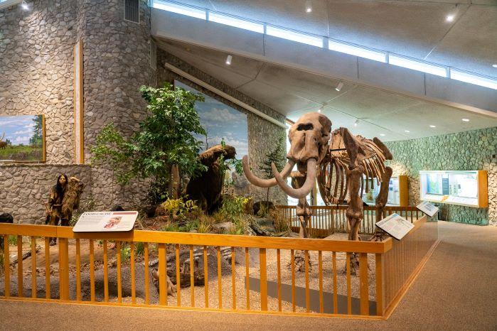 Display showing a cave person, Mastodon skeleton and giant sloth in a fenced off area. 
