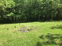 Pictured is the enslaved cemetery at Nathan and Olive Boone’s homestead where the department recently located 11 more unmarked graves.