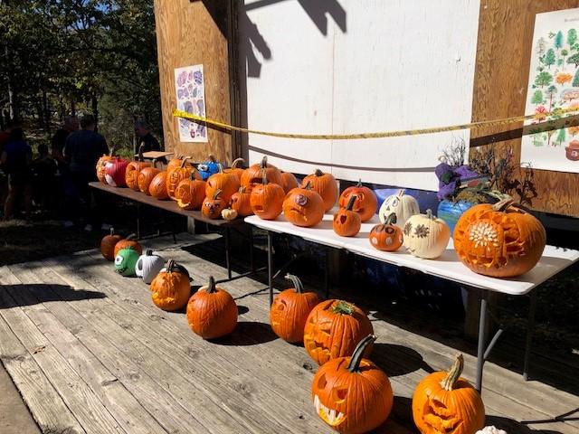 Decorated pumpkins displayed on a white table.