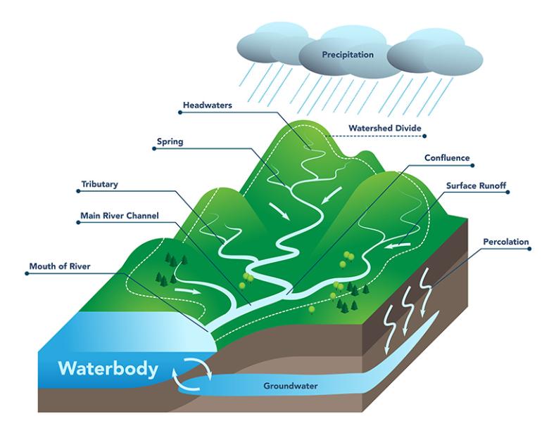A diagram depicting the various parts of a watershed, including headwaters, springs, tributaries, surface runoff, groundwater and receiving waterbody.