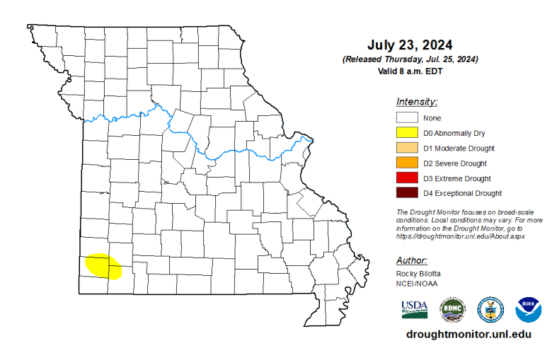 Missouri map with county lines and different colors to indicate the intensity of any drought conditions as of July 23, 2024