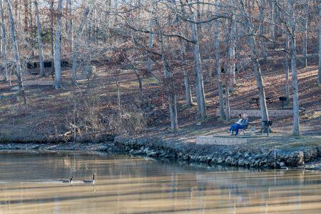 A person sits on a blue bench near a lake, surrounded by leafless trees and a paved path, with ducks swimming in the water.