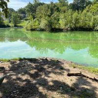 A cyanobacteria bloom in Chaumeire Lake