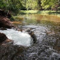 Greene County losing stream
