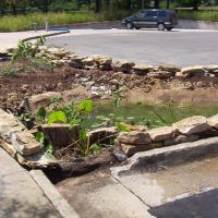 Rain gardens act to slow and filter the runoff from the parking lot.