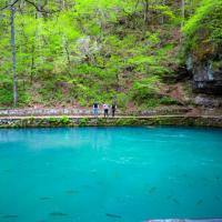 Unique Places Category Finalist - Jenny Woodward, In the Deep, Meramec Springs Park