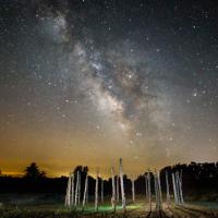 Unique Places Category Finalist - Dan Zarlenga, Illiniwek Village, Illiniwek Village State Historic Site