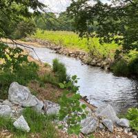 Upper Shoal Creek Bank Stabilization