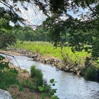 Upper Shoal Creek Bank Stabilization