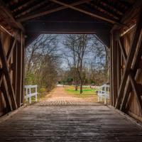 Unique Places Category Finalist - Raymond Huskey, Sandy Creek Shade