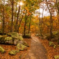Unique Places Category Finalist - Robert Craig, Pathway in the Park
