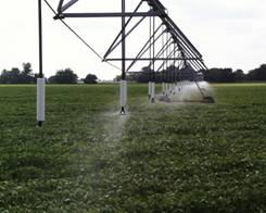 N442 - Irrigation System, Sprinkler cost-share practice.