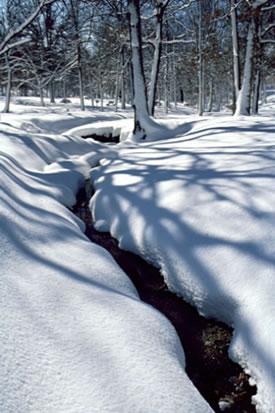 Snow covering the ground with trees in the background. A creek is pictured running through the center of the photo.
