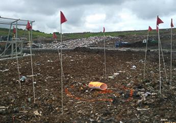 Sampling flags on top of a landfill marking the areas under investigation