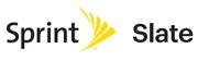 Sprint Slate Logo