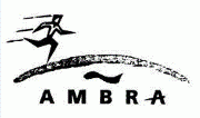 Ambra Logo