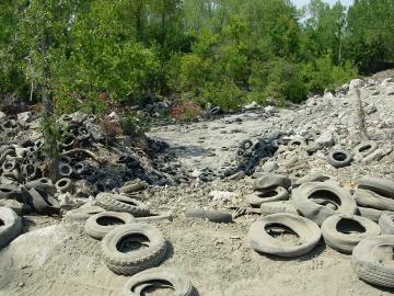 Scrap tires discarded down a hillside at the Bishop Tire Site, 2006