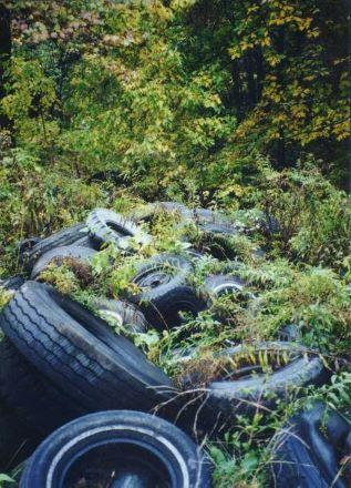 Scrap tires discarded down a ravine at the Peekrotate scrap tire dump