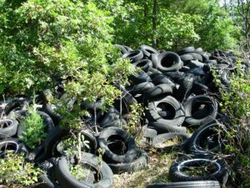 Scrap tires discarded on a hillside at the Purinton scrap tire dump, July 2006