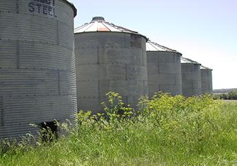 A row of grain bins in an open field