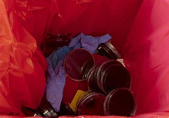 Medical waste, laboratory used petri dishes, gloves and empty vials in a biohazard bag
