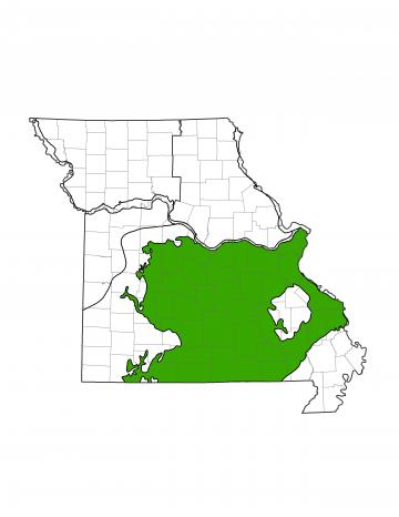 Salem Groundwater Province map
