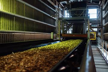 Wood chips moving down a conveyor belt in a wood processing plant