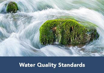 Water Quality Standards Water Quality Standards mapping viewer image link