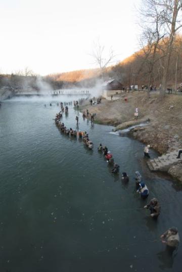 Line of people fishing while standing in water. 