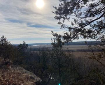 View of trees and valley from an overlook at Cuivre River State Park. 