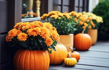 Orange mums planted in pumpkins and flower planters on a front porch surrounded with small pumpkins