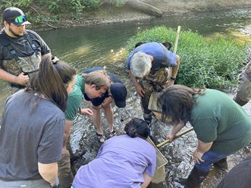 Several interns looking in a collection net while a staff member teaches them about collecting macroinvertebrates during a water quality monitoring study
