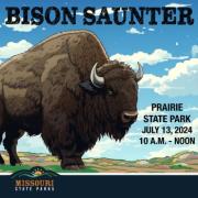 Graphic for Prairie State Park Bison Saunter with image of Bison on right side.